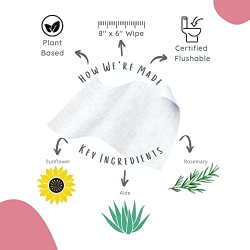 Stall Mates Wipes Feminine Fresh - Flushable | Individually Wrapped Cleansing Travel Friendly PH balanced Unscented with Sunflower, Rosemary and Aloe (90 on-the-go singles) BULK PACK