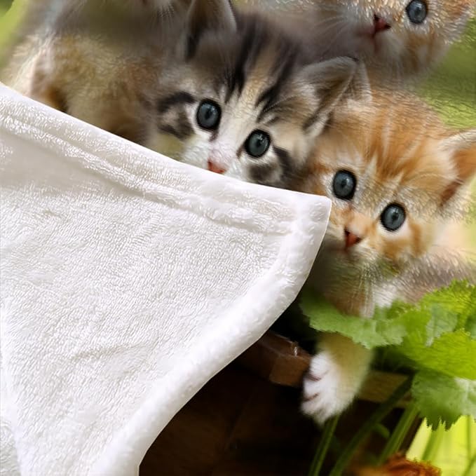 Cats Print Throw Blanket, Daisy Flowers Fleece Blanket for Couch Bed Sofa, Fresh Green Blankets and Throws, Cute Pets Super Soft Cozy Plush Flannel Blanket 50x60, Decor & Gift