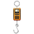 UNIWEIGH Digital Hanging Scale,Mini Crane Scale 300kg/660lb,Postal Luggage Scale with LCD Display,Portable Handheld and Large Hook,Deer Scale with Hold &Tare Function for Garage Farms Hunting Fishing