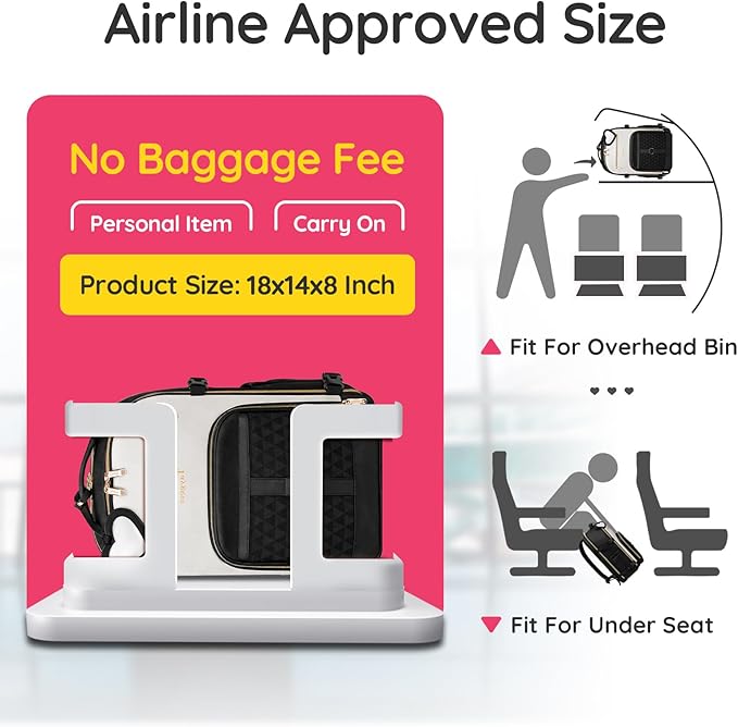 Taygeer Carry on Backpack for Airplanes, TSA Travel Backpack with Shoe Compartment & Luggage Tags, Airline Personal Item Bag for Women Teens, Black