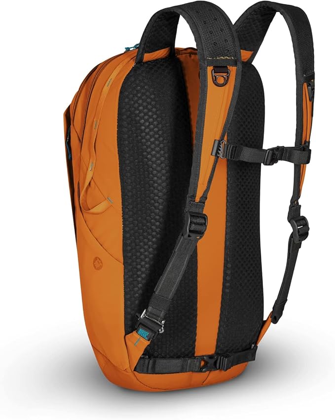 Pacsafe ECO 25L Anti Theft Backpack, ECONYL Canyon