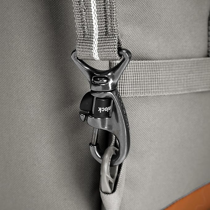 Pacsafe GO Anti Theft 44L Carry-on Backpack