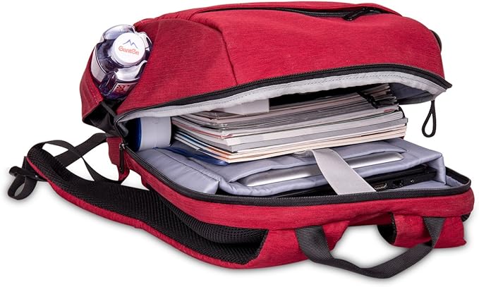 Rocktraveler RTL17RD Leisure Anti-theft Backpack Lap Top Bag, Red