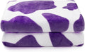 Soft Purple Blanket Fuzzy Cute Kids Throw Blankets Plush Lightweight Girls Fleece Blanket for Couch Sofa