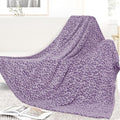 Twin Size Blankets for Bed - Lightweight Purple Blanket Throw for Women, Soft Fuzzy Lavender Fleece Bedding for Home Bedroom Dorm Decor 60"x80"