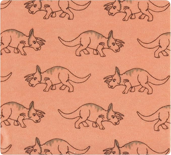 Hudson Baby Unisex Baby Cotton Flannel Receiving Blankets Bundle, Dinosaur Adventures, One Size