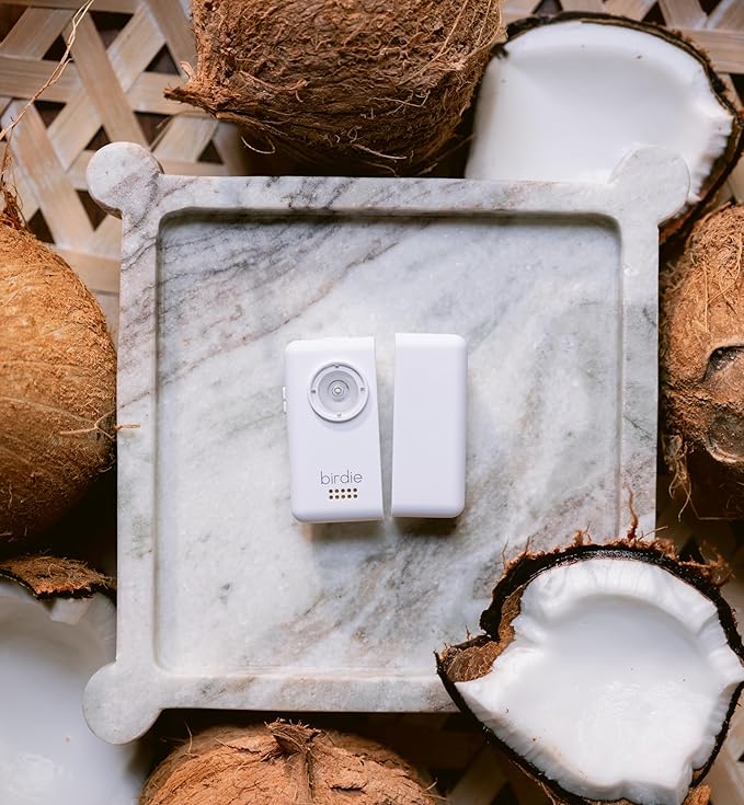 She's Birdie - The Original Personal Safety Door Alarm for Travel, at Home, or Window Security - Portable, Loud Siren, Flashing Light Alert + Built in Flashlight, Rechargeable, Rental Safe (Coconut)