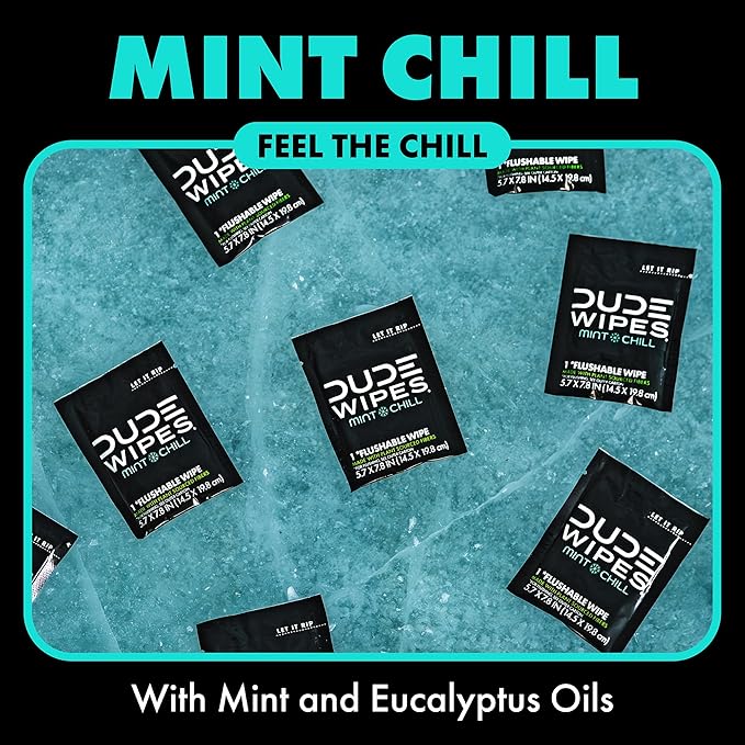 DUDE Wipes On-The-Go Mint Chill Travel Wipes - 30 Count (Individually Wrapped) - Extra-Large Adult Flushable Wipes - Infused with Tea Tree Oil, Vitamin E, and Aloe - Septic and Sewer Safe