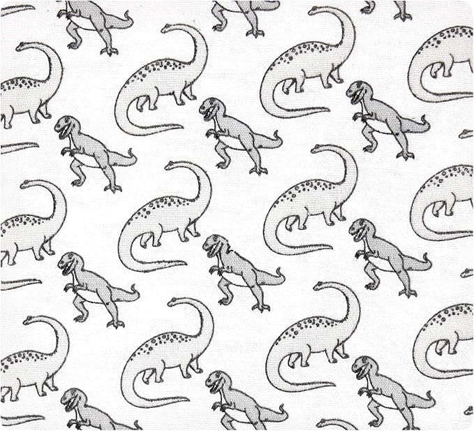 Hudson Baby Unisex Baby Cotton Flannel Receiving Blankets, Neutral Dino World, One Size