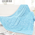 Blue Blanket Twin Size Cyan Throw Blankets Fuzzy Soft Sky Blue Fleece Twin Blankets for Bed Couch Bedroom Home Decor 60"x80"