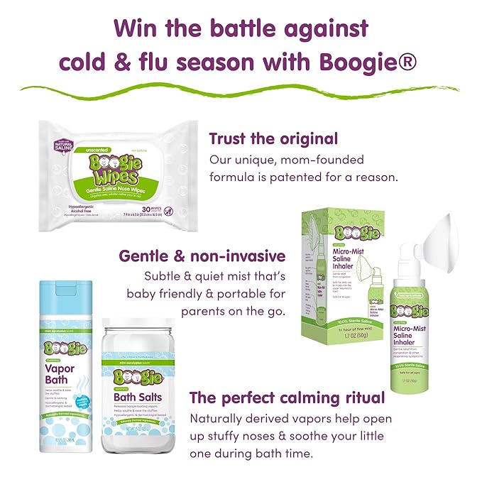 Boogie Antibacterial Hand Wipes by Boogie, Alcohol Free, Hypoallergenic and Moisturizing Aloe, for Kids and Adults -100 Total Wipes (5 Packs of 20)