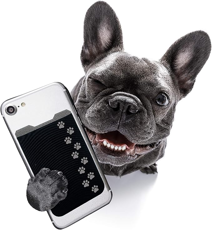 Phone Wallet - Adhesive Card Holder - Cell Phone Pouch - Stick on Lycra Pocket by Gecko - Carry Credit Cards and Cash