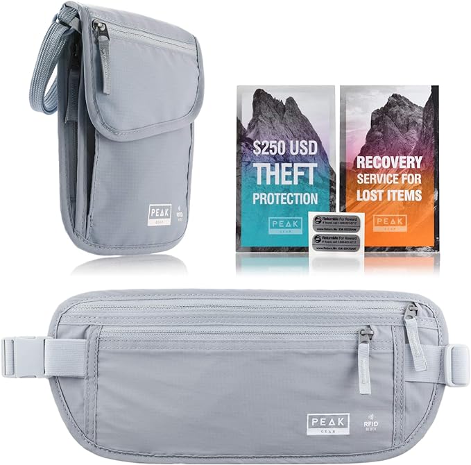 Travel Companion Combo - Hidden Travel Money Belt + Neck Wallet (Gray, Bundle)