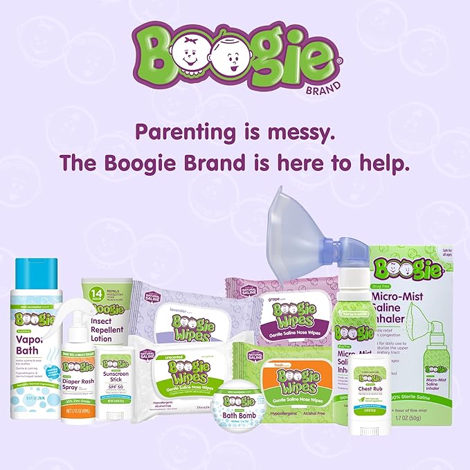 Boogie Antibacterial Hand Wipes by Boogie, Alcohol Free, Hypoallergenic and Moisturizing Aloe, for Kids and Adults -100 Total Wipes (5 Packs of 20)