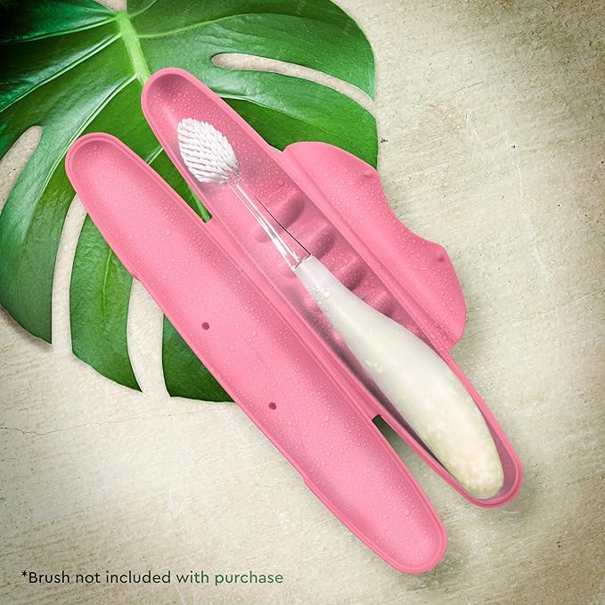 RADIUS Toothbrush Travel Case for Standard Brush, BPA-Free Recycled Plastic, Portable for Bathroom, School, Home, Camping (Pastel Pink, 8.25H - 1.38W - 1.75L (in))