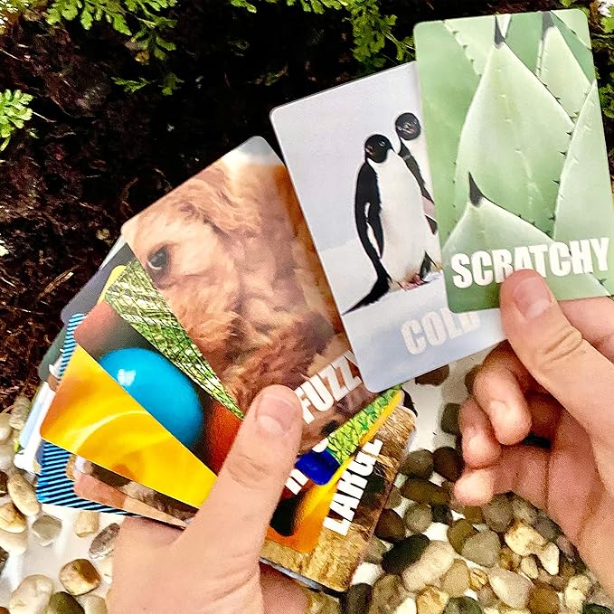 Hapinest Find and Seek Scavenger Hunt Card Game, Indoor Outdoor Activities for Kids Toddler & Family, Beach Camping Travel Car Games for Road Trips, Kids Scavenger Hunt Game Age 3 4 5 6 Years Old & Up