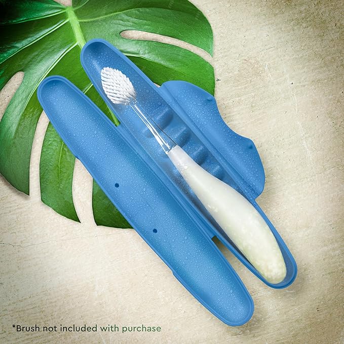 RADIUS Toothbrush Travel Case for Standard Brush, BPA-Free Recycled Plastic, Portable for Bathroom, School, Home, Camping (Light Blue, 8.25H - 1.38W - 1.75L (in))