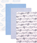 Hudson Baby Unisex Baby Cotton Flannel Receiving Blankets, Airplane, One Size